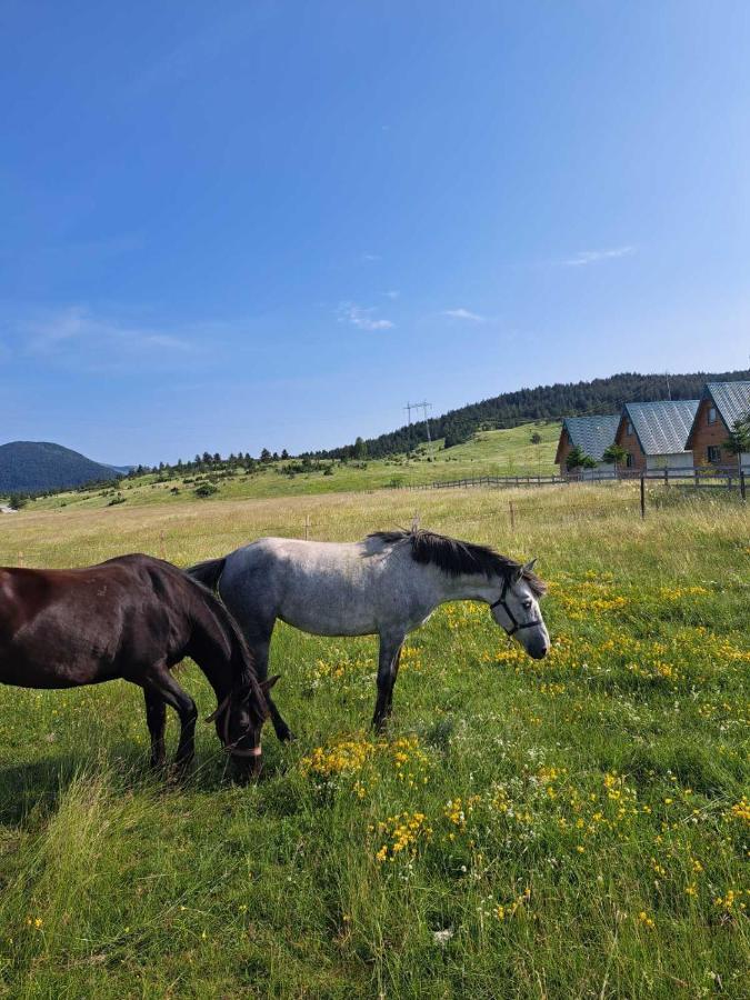 Vule bungalovi Zabljak  Bagian luar foto